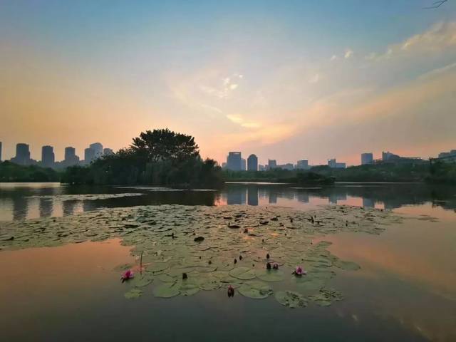 貴陽市觀山湖公園.