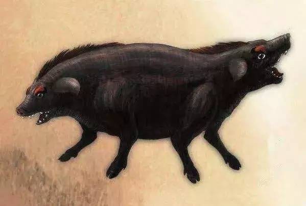 山海经双头四足的神秘怪兽时而是禽鸟时而是野兽