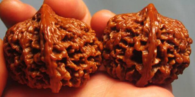 文玩丨文玩核桃什么品种最好？_搜狐网