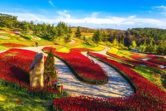 大連英歌石植物園門票55元開搶!還有美食套餐,往返直通車等特惠票