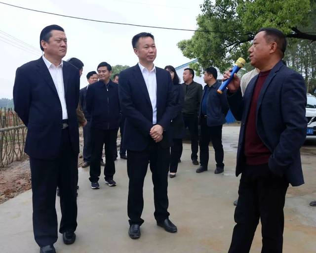 监利党政代表团考察华容县美丽乡村建设工作