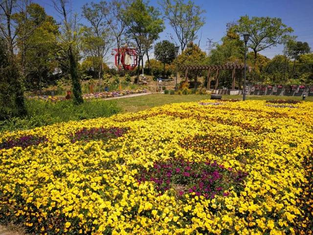 月浦花卉基地图片