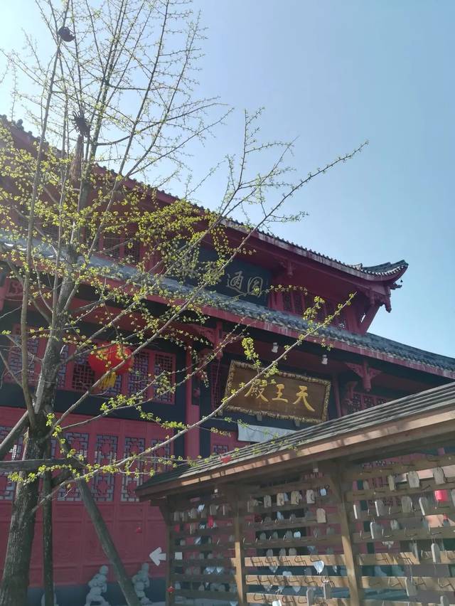 天国寺 青城山上离天最近的地方