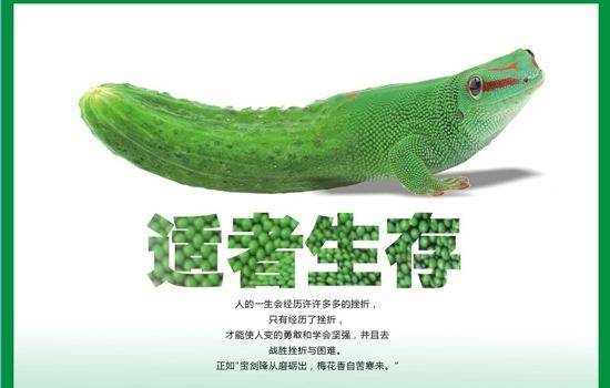 心理学:把孩子当野兽养-弱肉强食,优胜劣汰,适者生存,是永恒法则