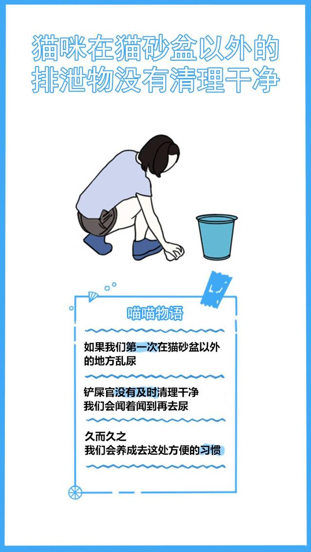59秒冷盘点:又怪猫乱尿是报复你呢?冤枉了人家