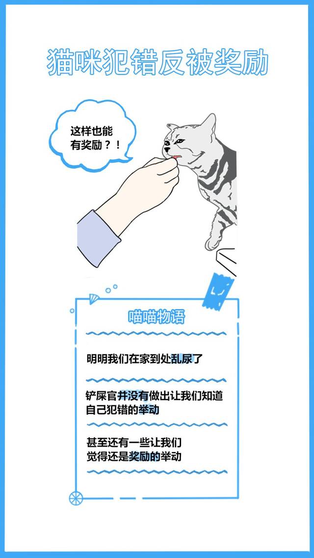 59秒冷盘点:又怪猫乱尿是报复你呢?冤枉了人家