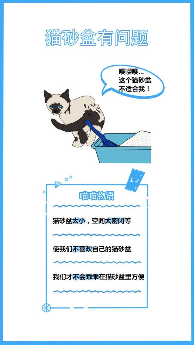 59秒冷盘点:又怪猫乱尿是报复你呢?冤枉了人家