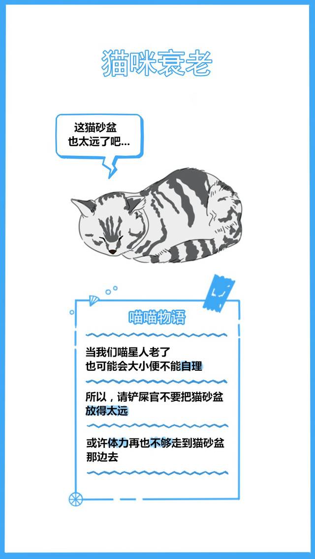 59秒冷盘点:又怪猫乱尿是报复你呢?冤枉了人家