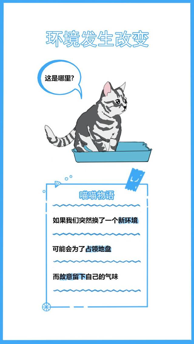 59秒冷盘点:又怪猫乱尿是报复你呢?冤枉了人家