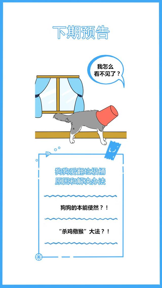 59秒冷盘点:又怪猫乱尿是报复你呢?冤枉了人家