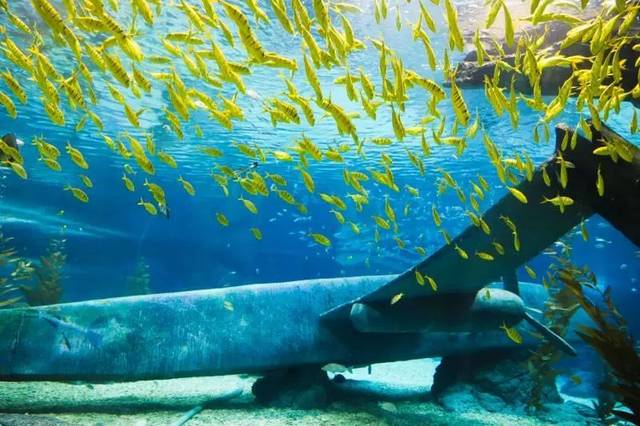 闽侯县荆溪镇仁洲村 23 长乐猴屿洞天岩 长乐 aaa 长乐区猴屿乡 24 东