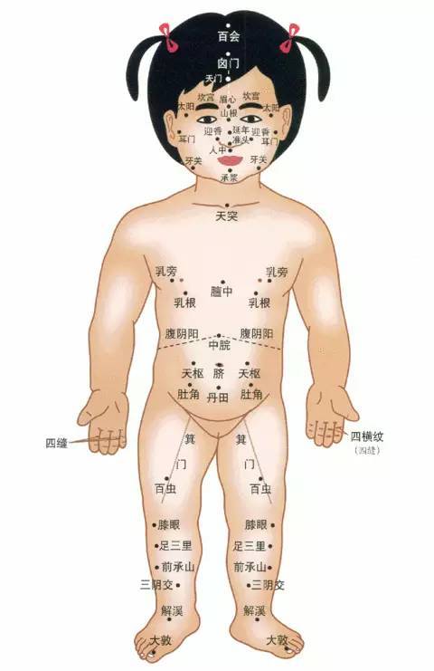 小儿推拿的穴位名词位置全篇,图片注释!_手机搜狐网