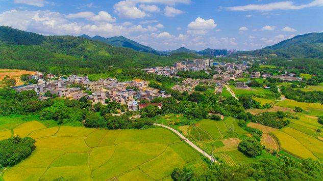 (碧山村中心片区)