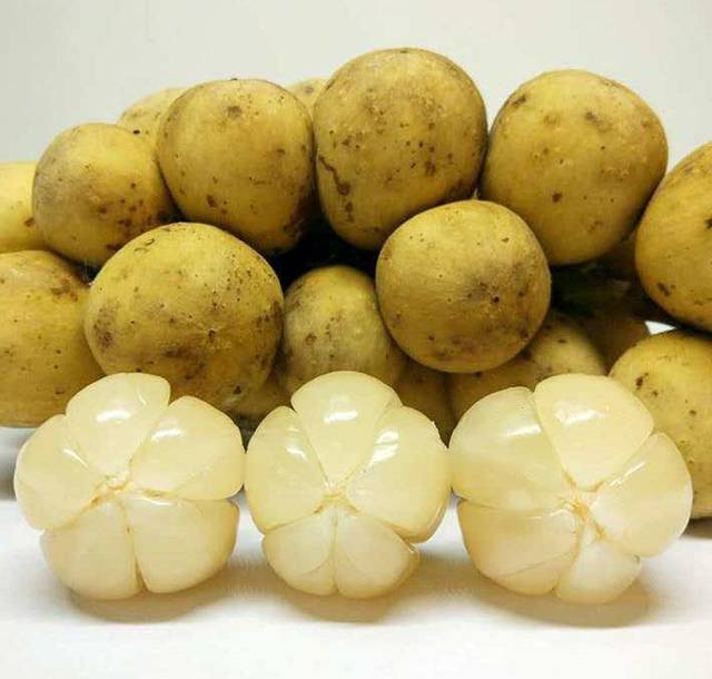 年少不知头发贵,留个小辫闯社会丨爆笑囧图