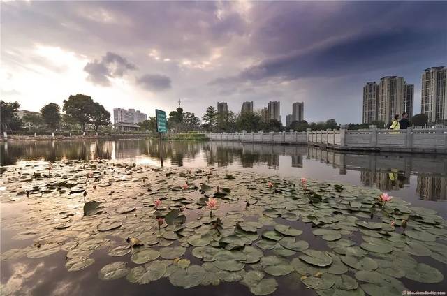 趁春光正好 快来东湖公园找回久违的闲情野趣吧~ 来源:容桂发布,顺 