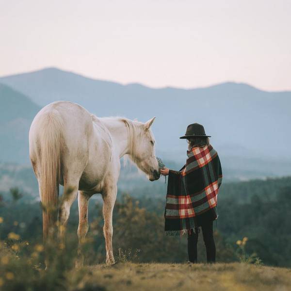 看完1 万张 ins 风照片,总结 7 个拍照套路刷爆朋友圈!