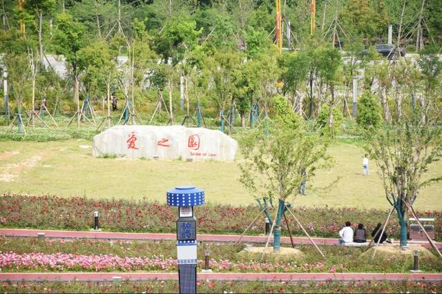 爱之园:唐河月季公园占尽了天下风流与一年只有一个花季的时花相比既