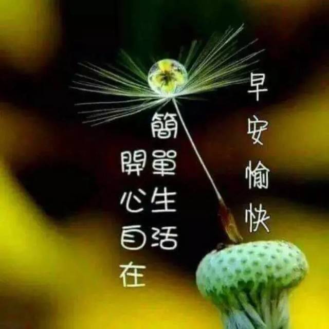 清晨喝茶问候语图片,早安喝茶图片,喝茶早安问候语图片(第3页)_大山谷图库