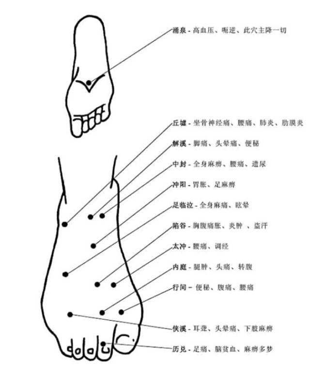 吐血整理!超全人体穴位图谱(附经络循行动图)