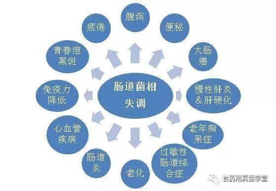 腸道菌群與人體健康,不可不說的