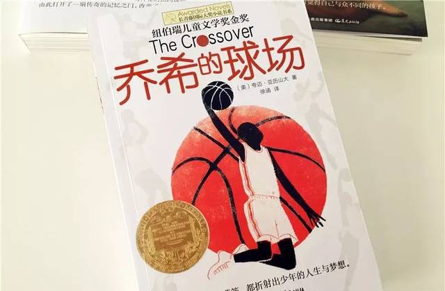 比如, 《乔希的球场》讲述的是一对双胞胎明星球员的成长故事.