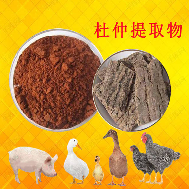 动物提取物：开启健康新篇章