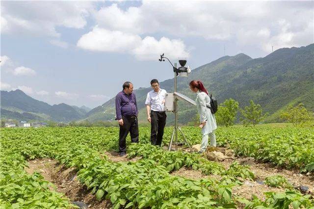 科技扶贫丨丰都首次大面积使用植保无人机开展统防统治工作!