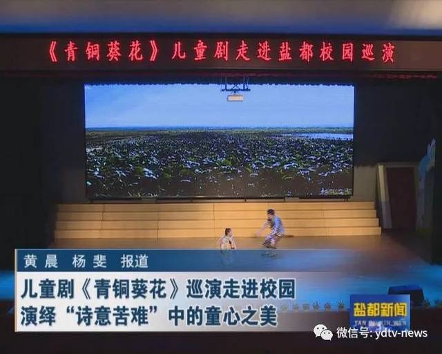 盐城舞剧演出：文化与艺术的交响