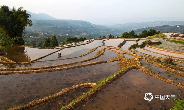 美图 江津:太和梯田春耕忙 山水田园好春光