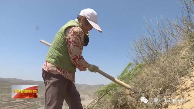 今天宁夏新闻联播的头条,属于彭阳这群女汉子