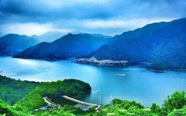 定了!五一!阿拉潮爸辣妈们已包下金鹅湖樱桃园,管吃管饱管贴心