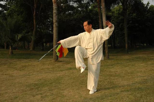 名师讲座与教学 杨式太极拳名家赵幼斌喊你来学拳