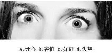 看眼神,猜情绪,测情商,给自己的情商定个级,