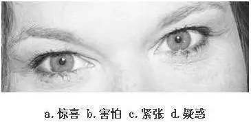 看眼神,猜情绪,测情商,给自己的情商定个级,