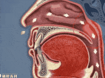 宝宝睡觉打鼾,憋气,现在面貌都发生了改变~~~_手机搜狐网