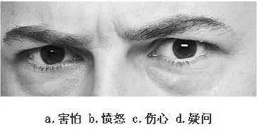 看眼神,猜情绪,测情商,给自己的情商定个级,