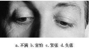 看眼神,猜情绪,测情商,给自己的情商定个级,