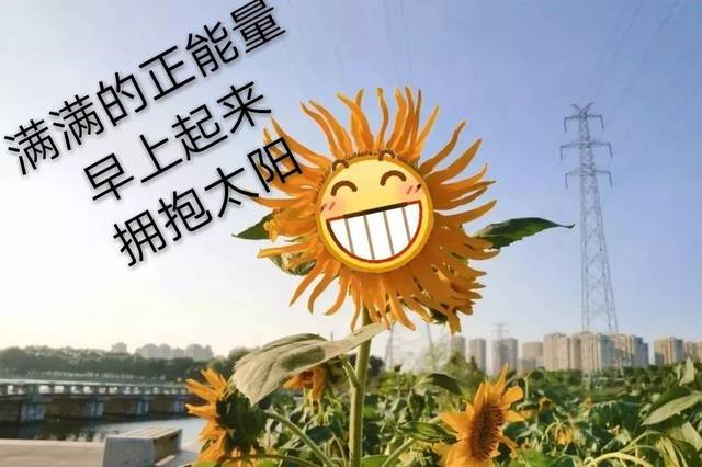 早晨起来拥抱太阳表情图片