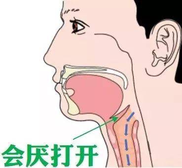 当我们吃东西时,这扇门会关闭,防止食物进入气管.