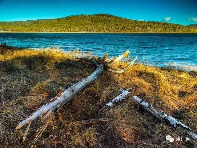 【摄影器材】相机景深预览按钮到底怎么用?别