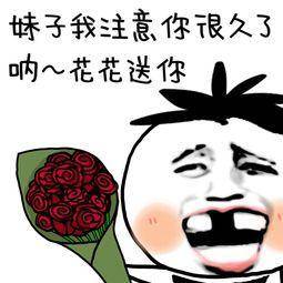 给花花的表情包送你一朵花