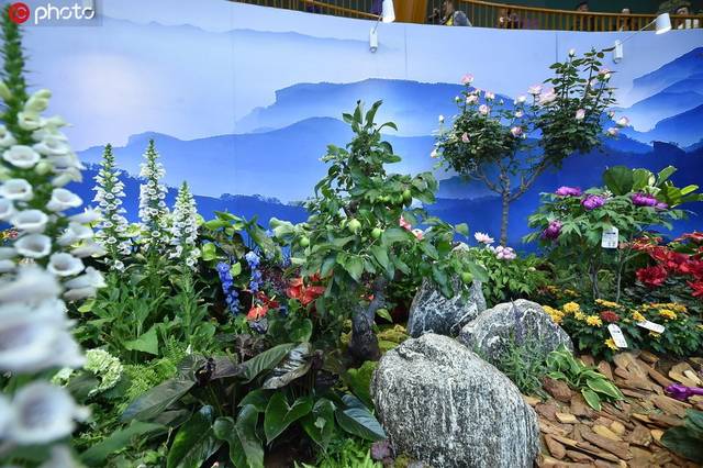 北京世园会河北省日来了百余种名优花卉组团亮相