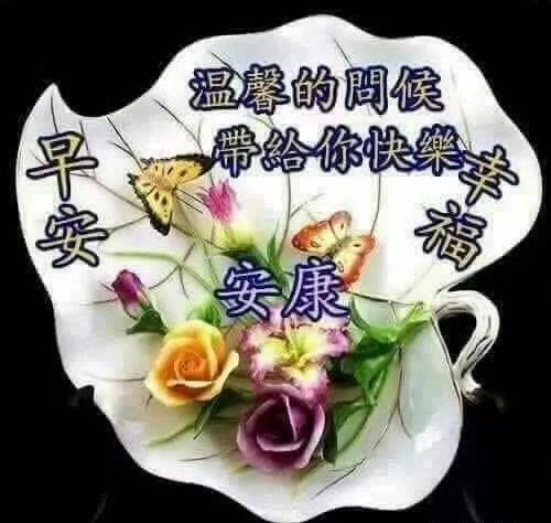 2019早上好新版鲜花祝福图片早上好祝福表情问候图片带字温馨