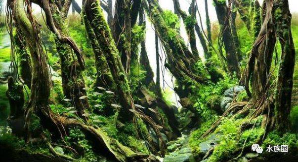 让我觉得自己在森林里,非常细致的工作.