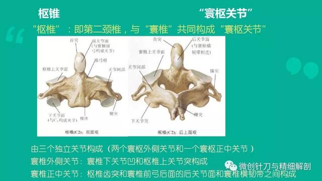 明子姐姐爱囤货