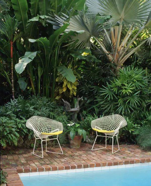 一楼带庭院的户型,如何驱蚊防虫?