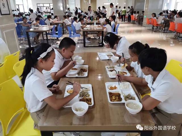 阳谷世纪园学校电话