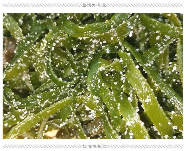 9元】海洋的味道——盐渍海带丝,源自海洋里的&长寿菜&