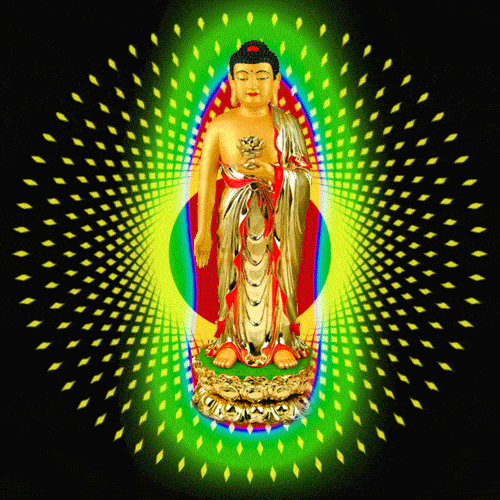 500_500gif 动态图 动图