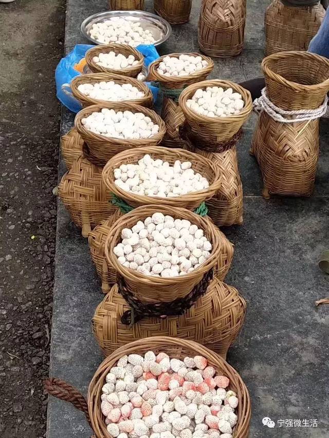 它们是一种原生态水果,宁强人都亲切的称它为"白米泡儿",在给外地人